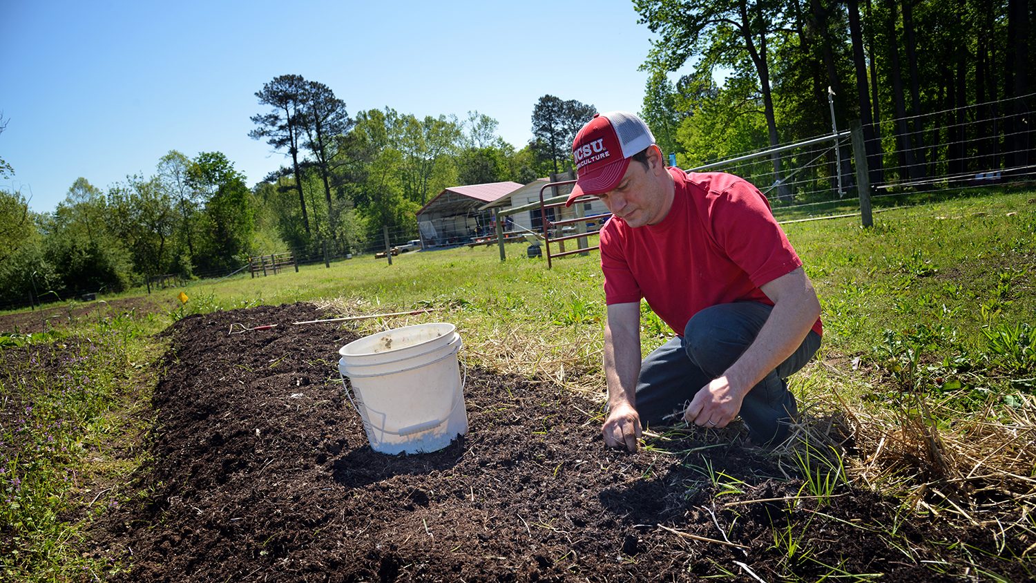 Soil sciences student weeds his section of garden at the Agroecology Farm.