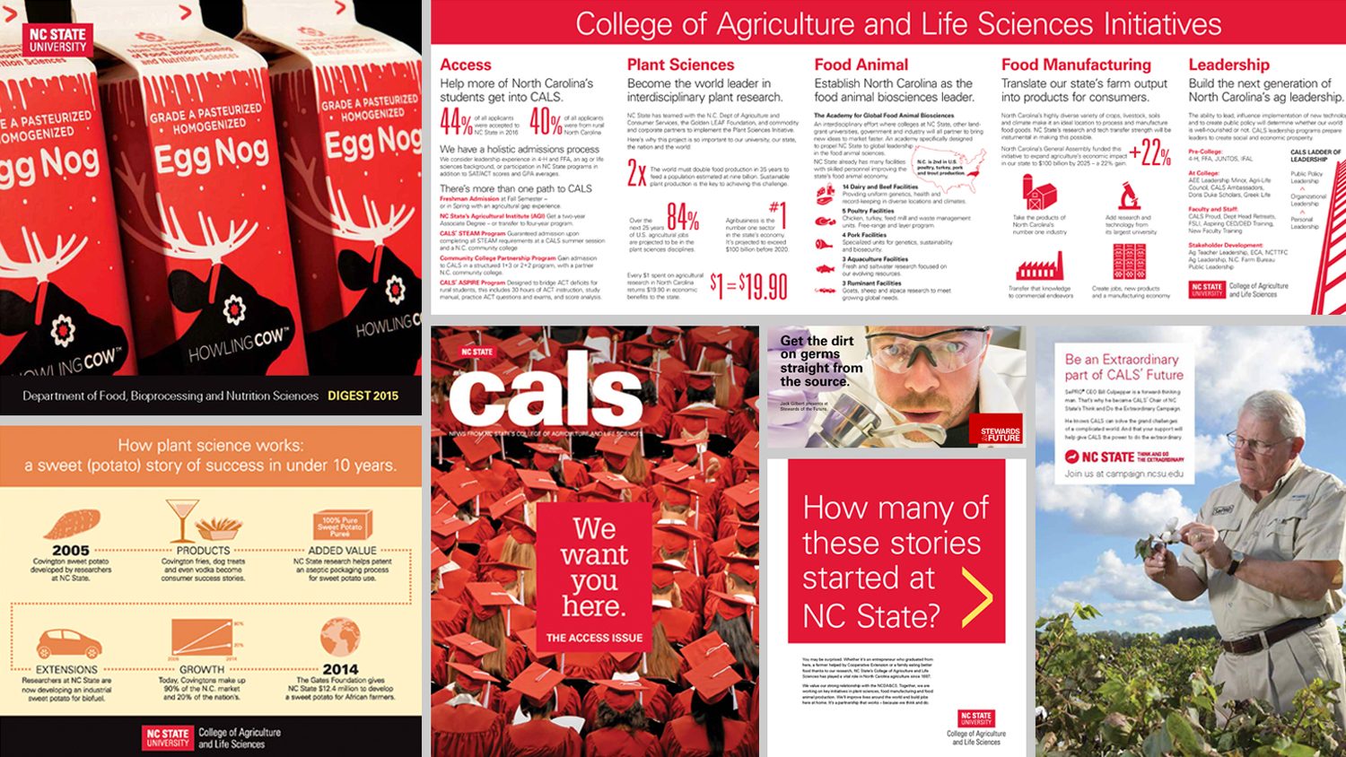 Examples of work by CALS Communications