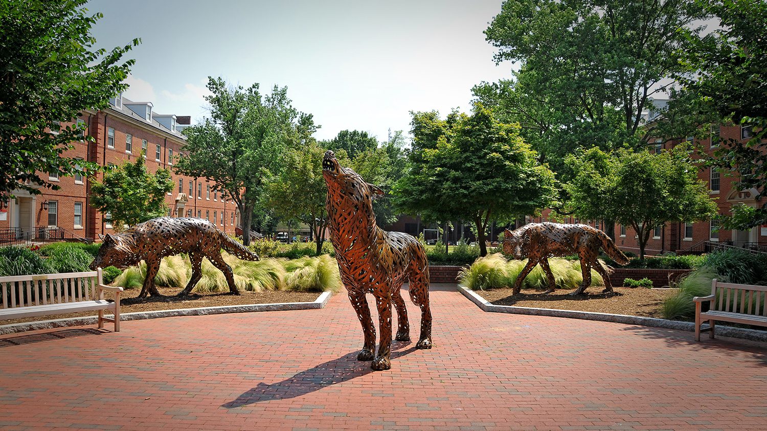 Wolf sculpture on central campus.