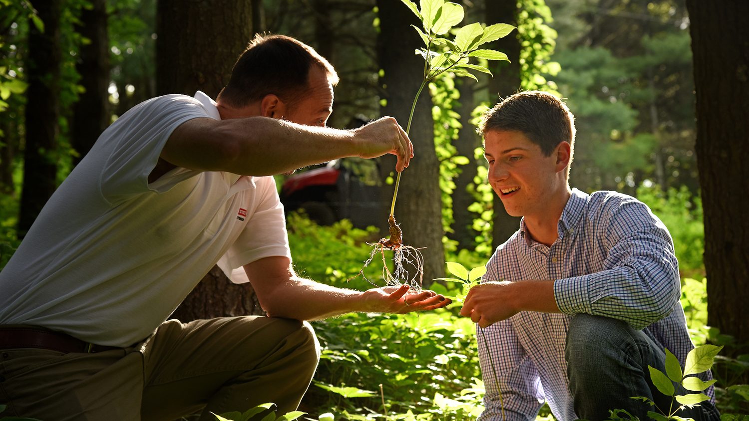 Two men in the woods looking at a plant