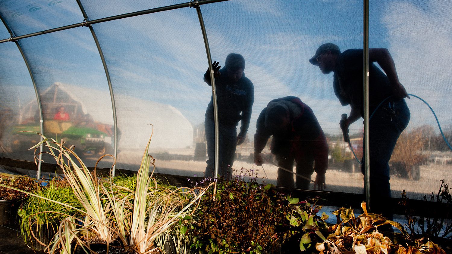 People working outside a hoop house in shadow