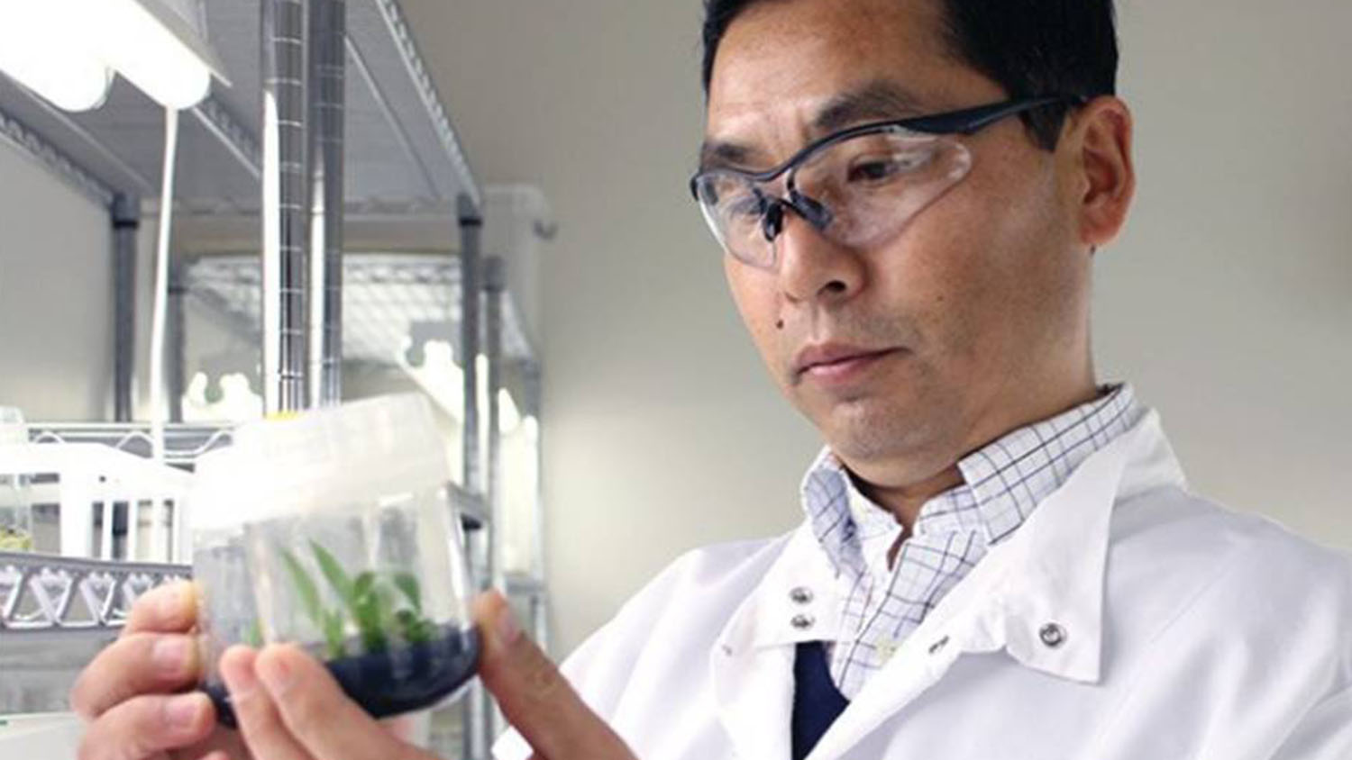 Kedong Da holds plant in a bright lab.