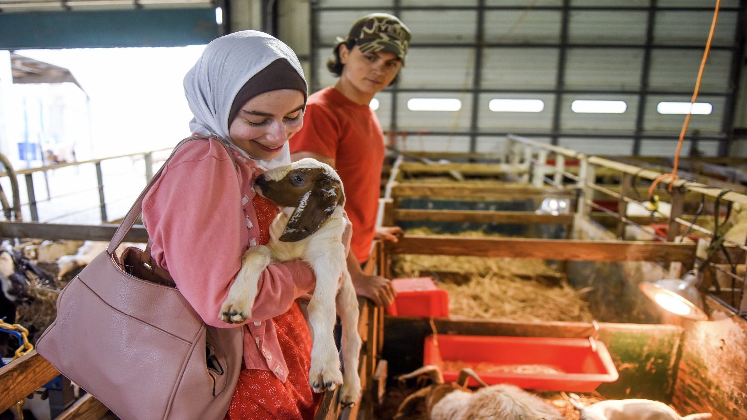 Woman wearing a hijab cuddling a baby goat in her arms