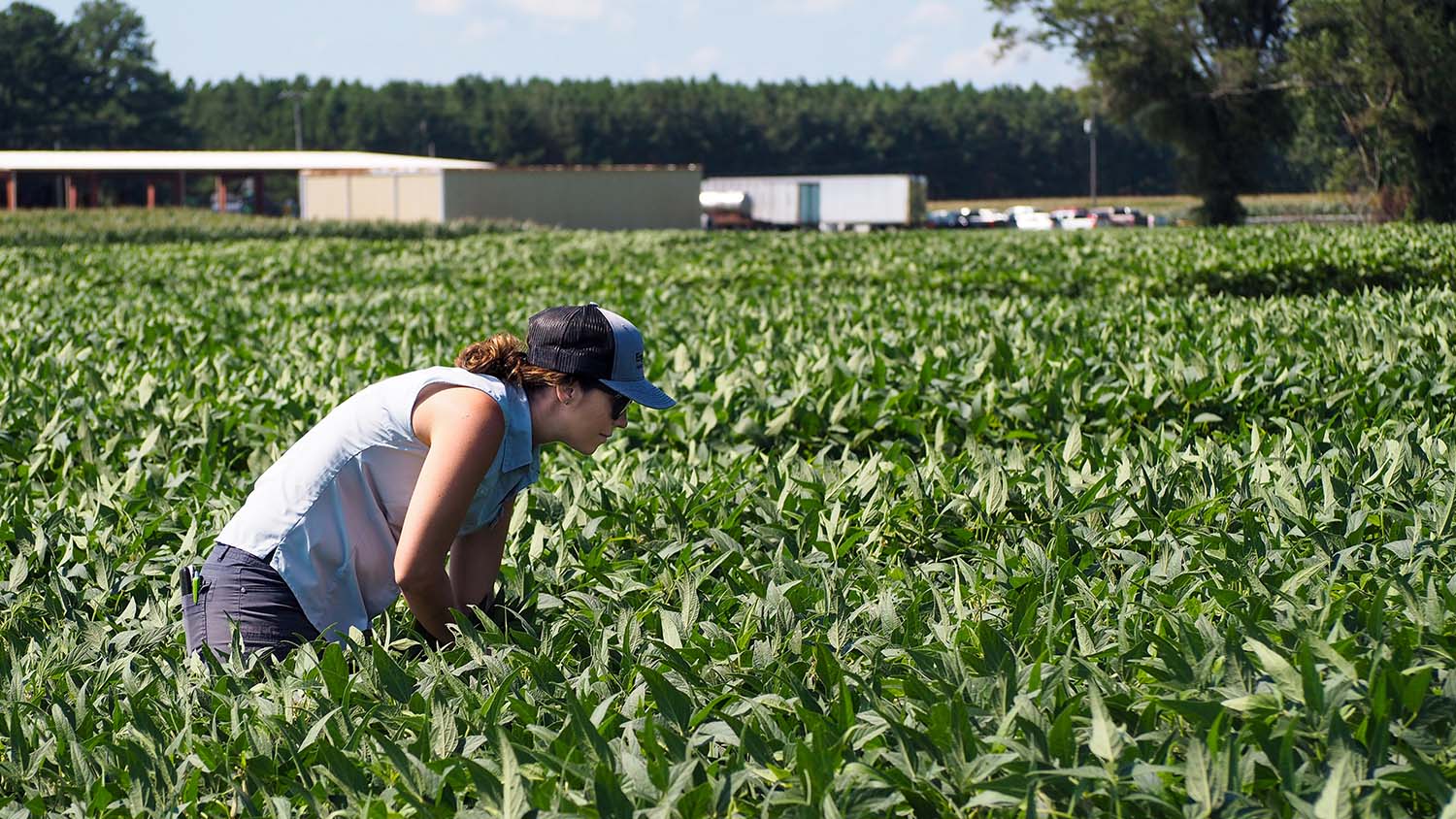 White woman in field