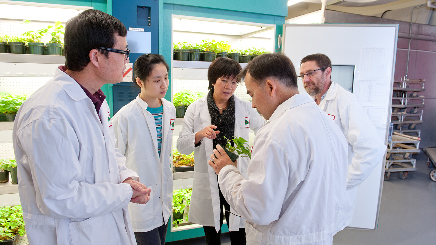 Five researchers looking at plants.