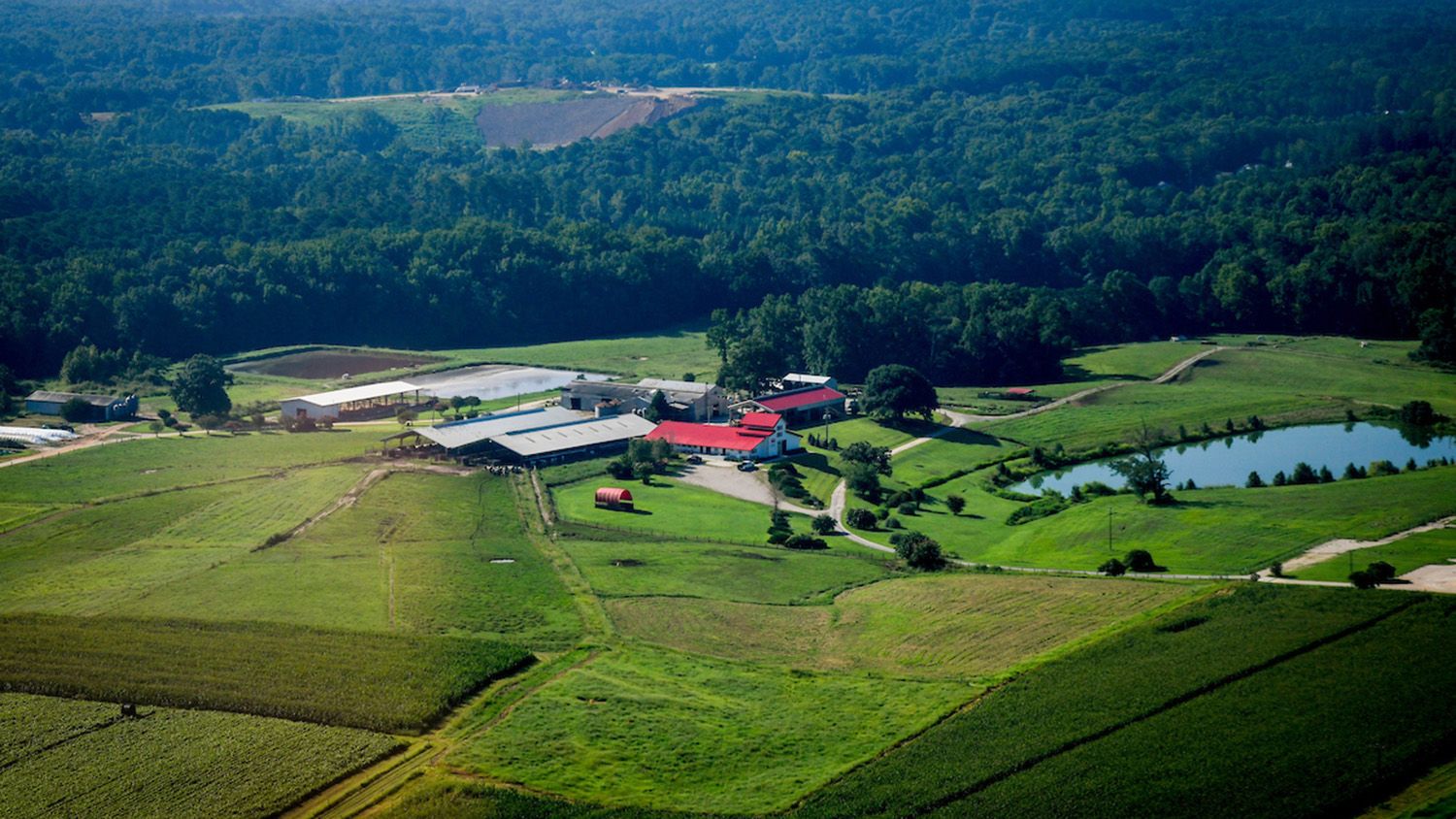 Lake Wheeler field labs. Photo by Becky Kirkland.