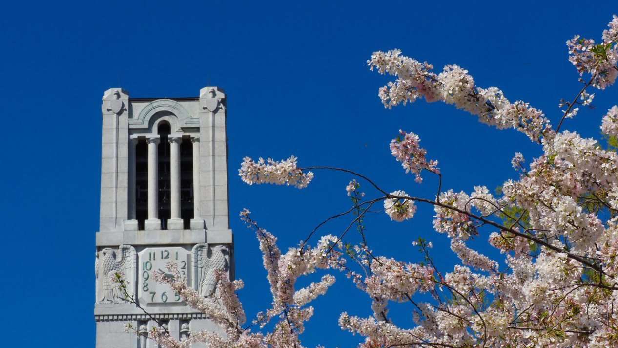 the bell tower in the spring