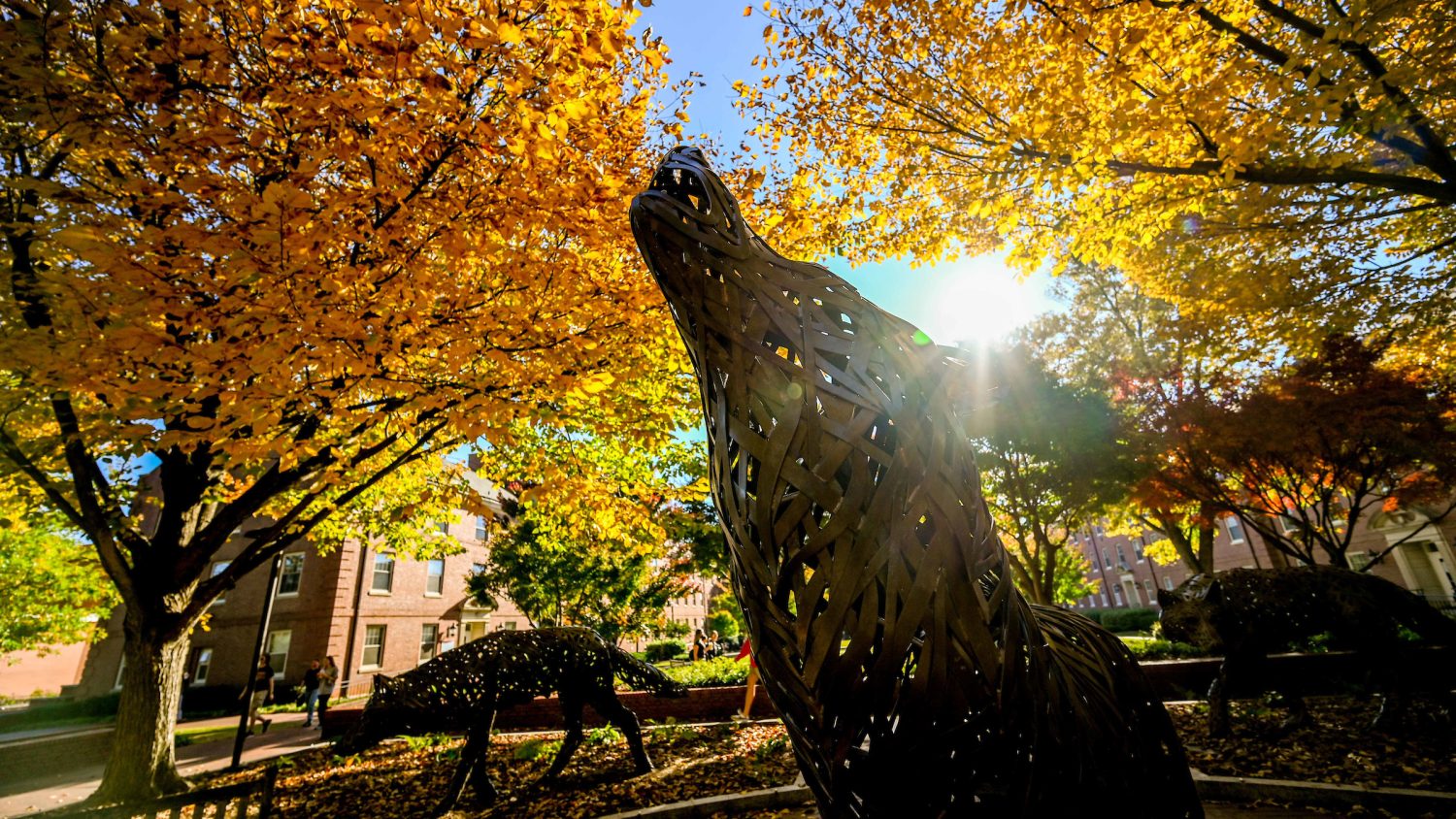 Afternoon sunlight streams through the fall foliage at Wolf Plaza. Photo by Becky Kirkland.