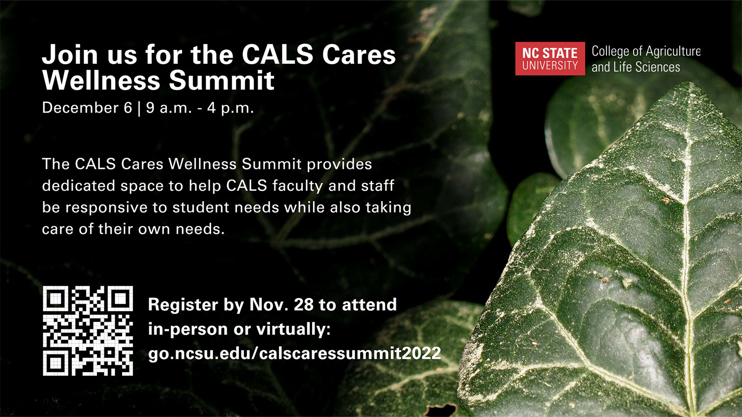 Flyer for CALS Comm Summit