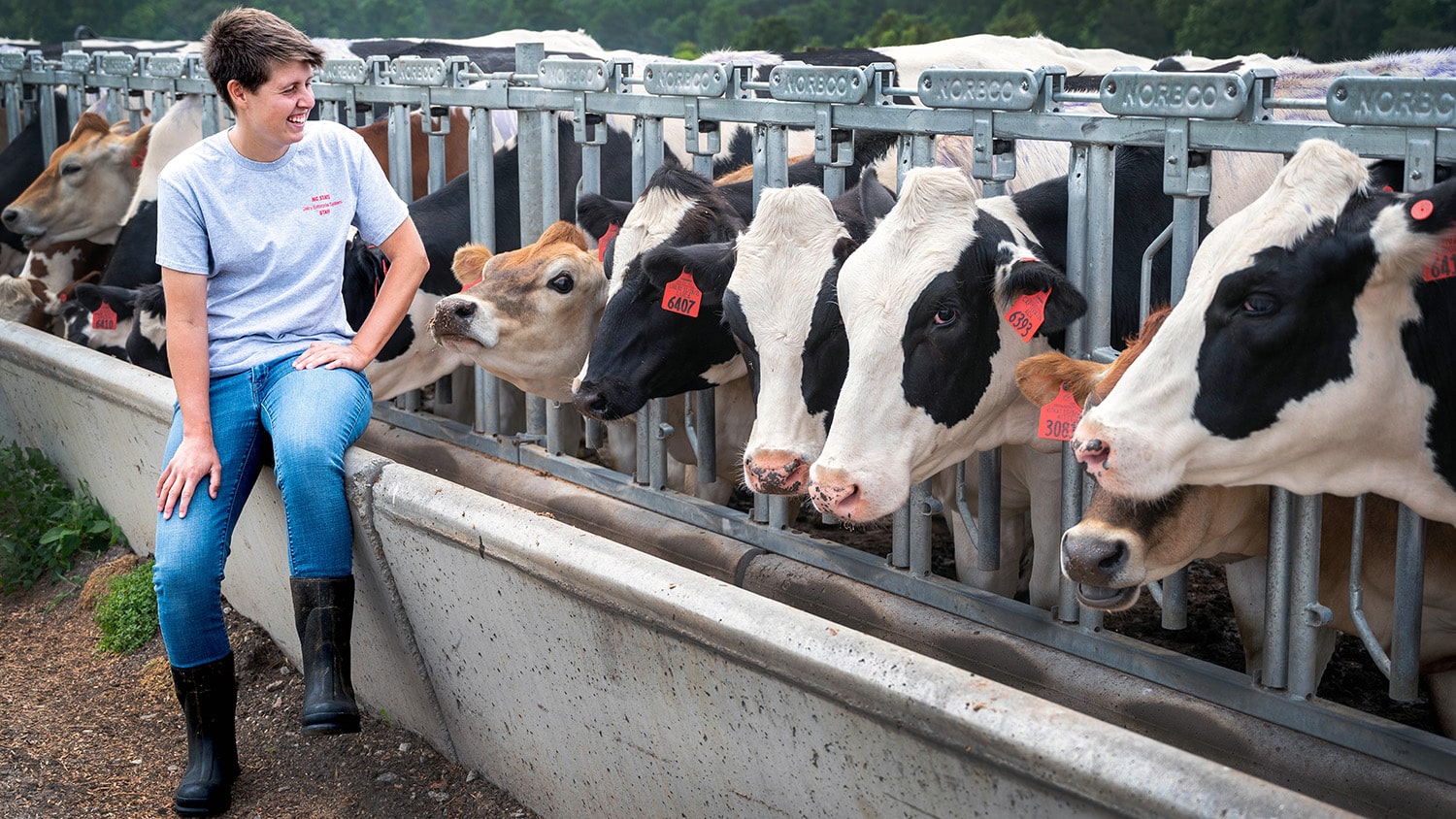 Caroline VandeBerg with the cows on the farm