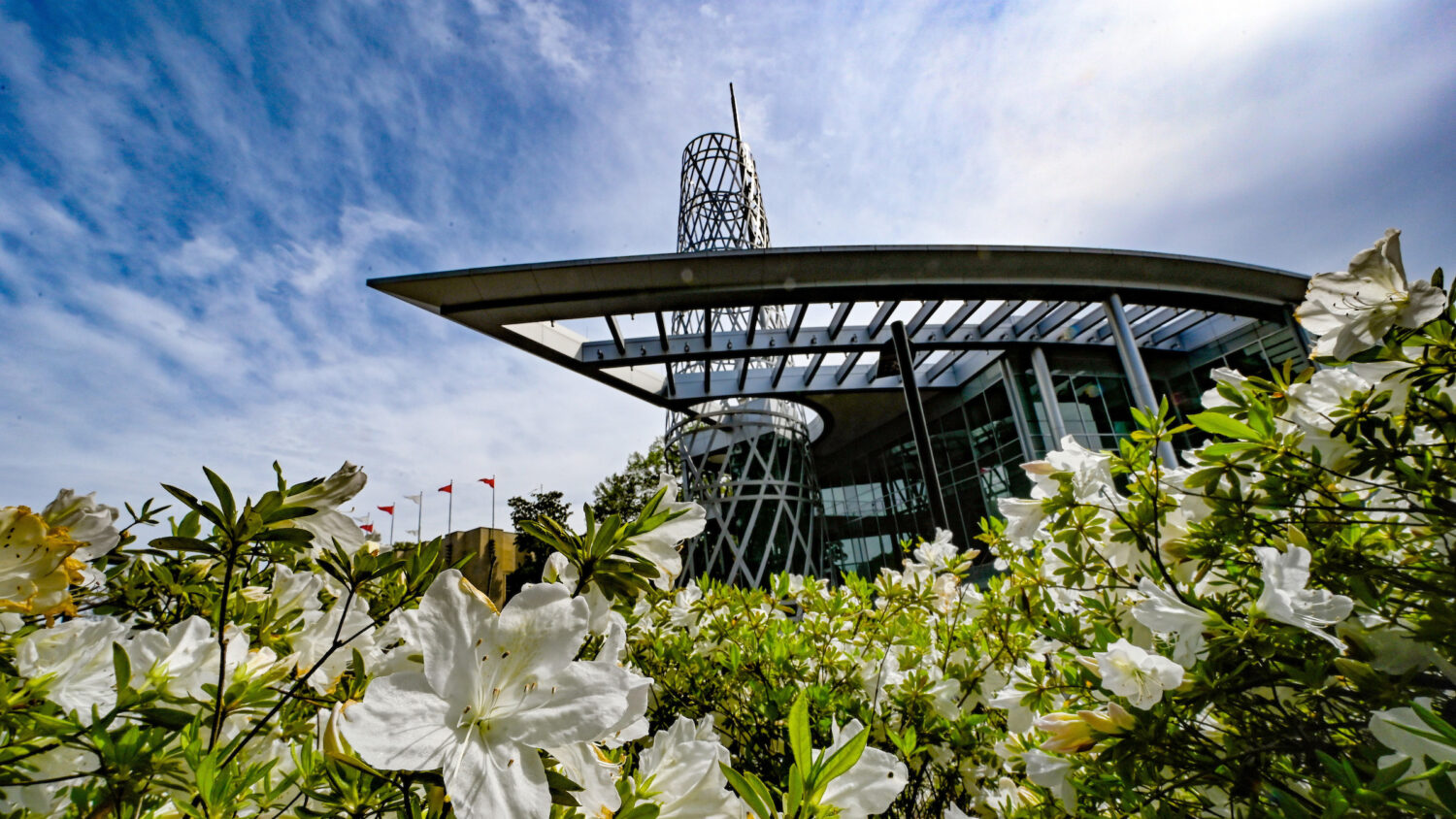 Spring blooms frame the Talley Student Center on a warm spring afternoon. Photo by Becky Kirkland.
