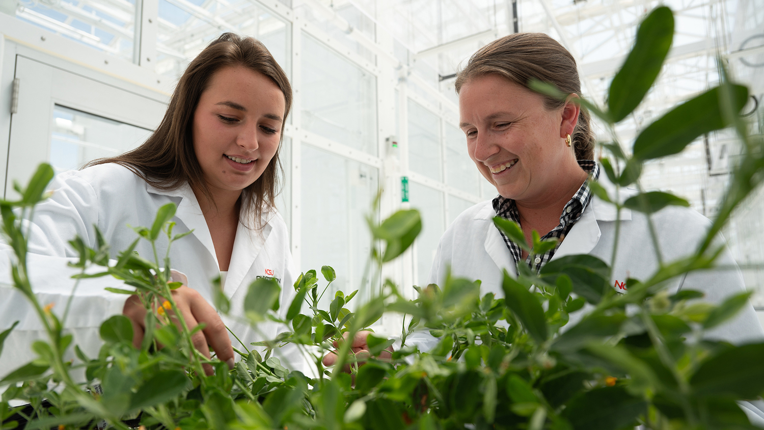 Rachel Vann, Department of Crop and Soil Sciences, works with extension interns inside of the plant sciences building on Centennial campus.