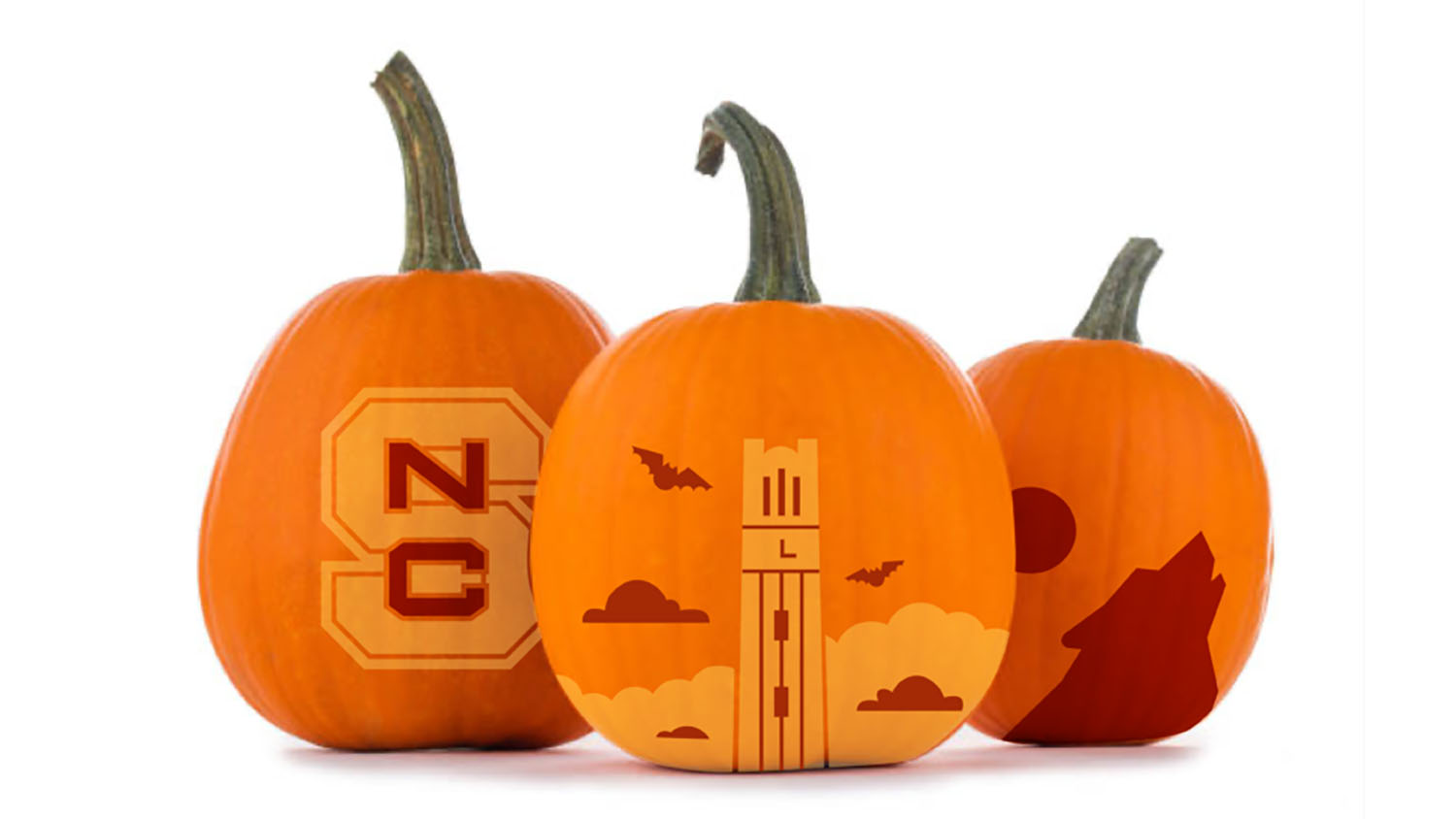 pumpkins with nc state themed carvings on them