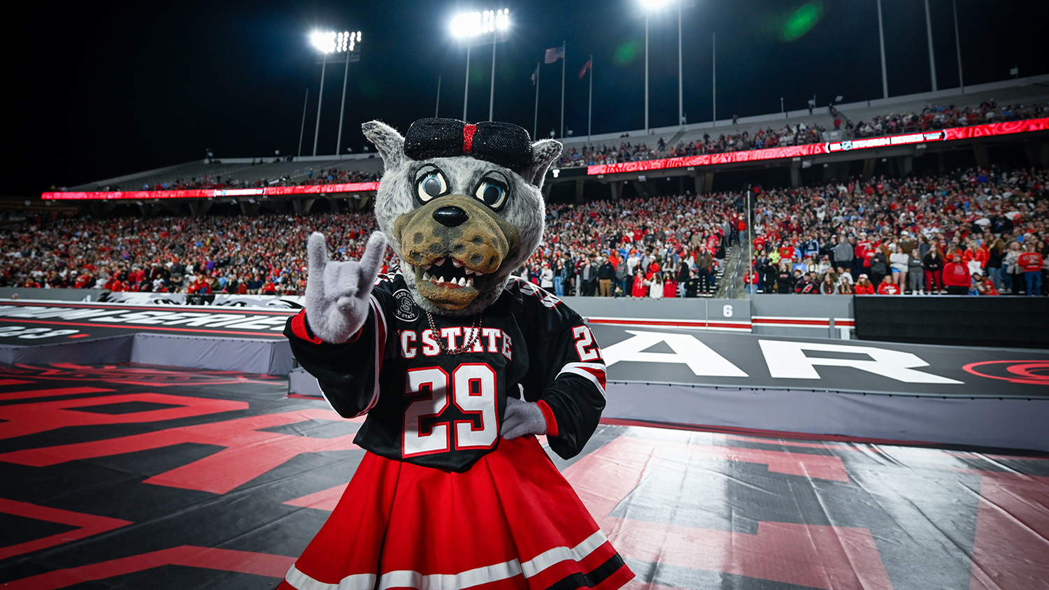 mrs. wolf nc state mascot dressed in nc state apparel