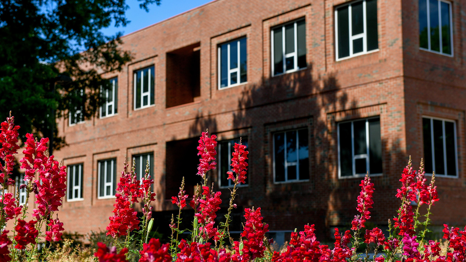 scott hall with flowers blooming