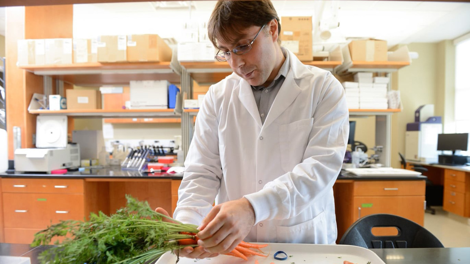 a man looks at carrots in a lab