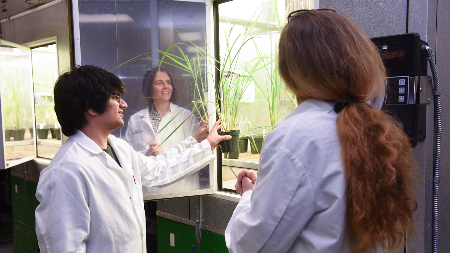 Colleen Doherty and student in Phytotron.