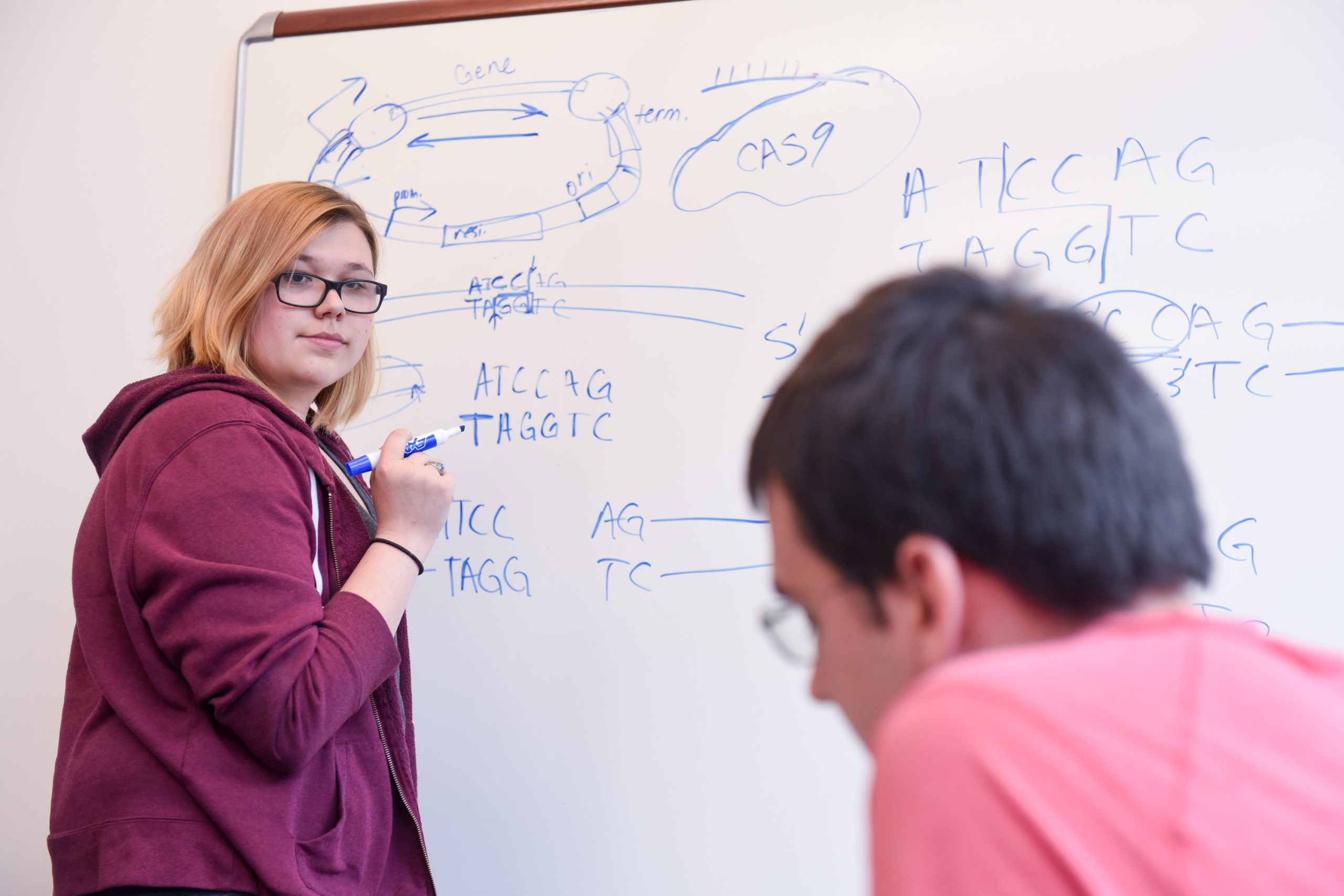 student teaching at whiteboard