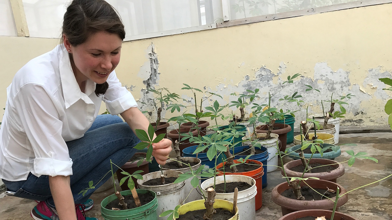 Catherine Doyle tending to plants.