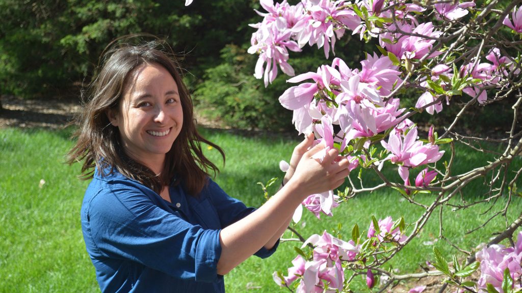 Kim Shearer examining a flowering tree