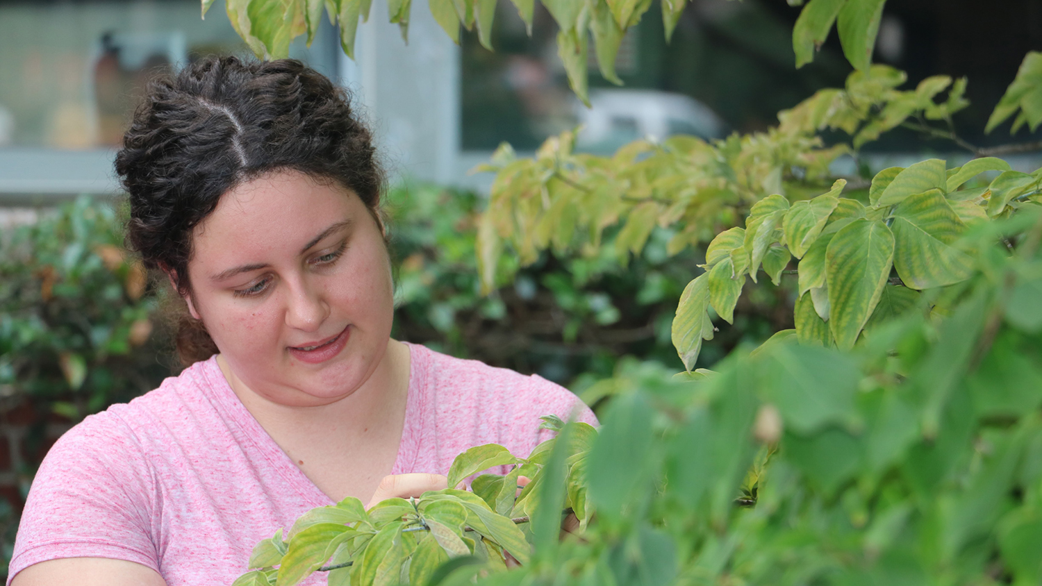 Graduate student looking at plants.