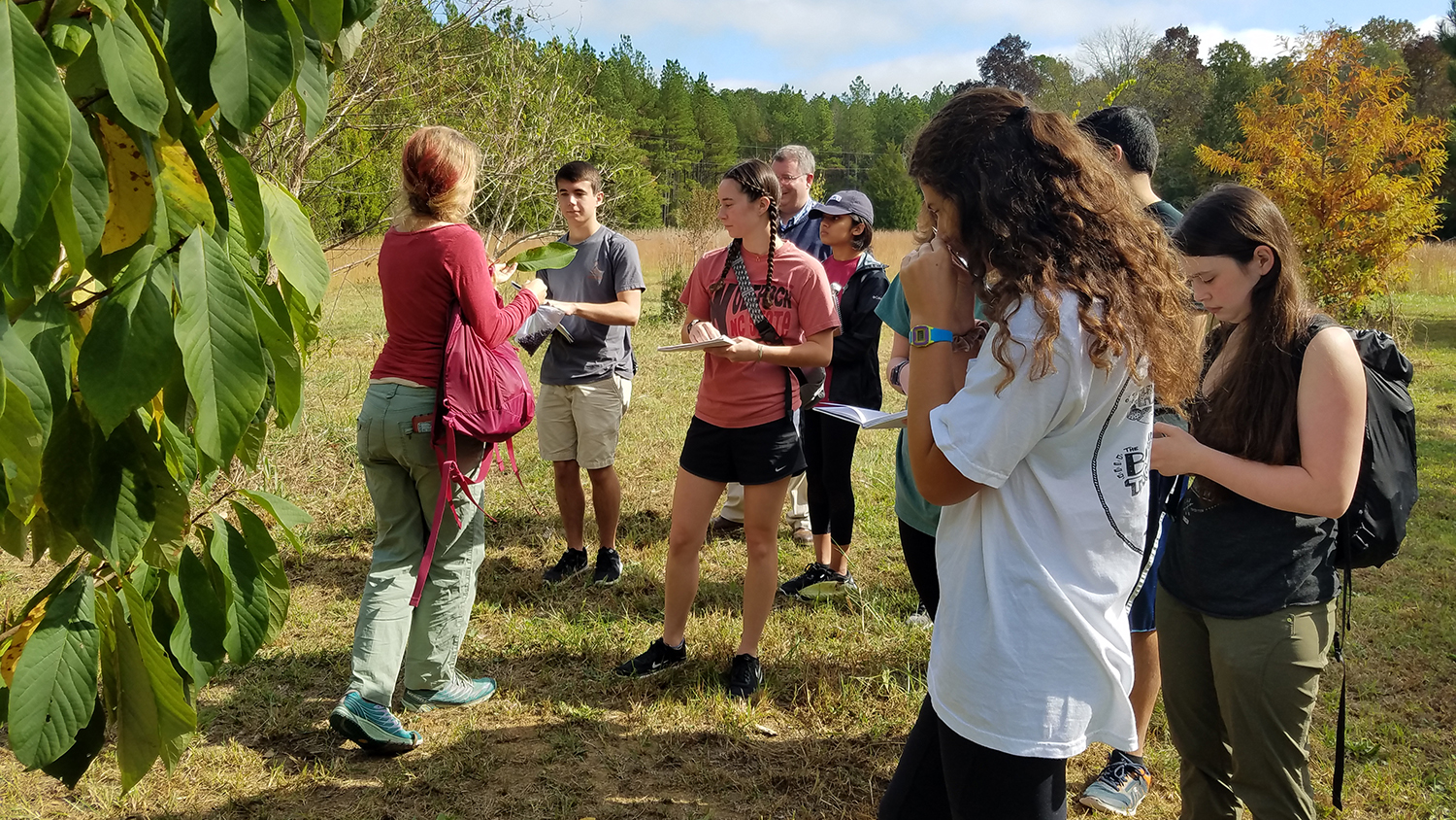 Students learning in the field