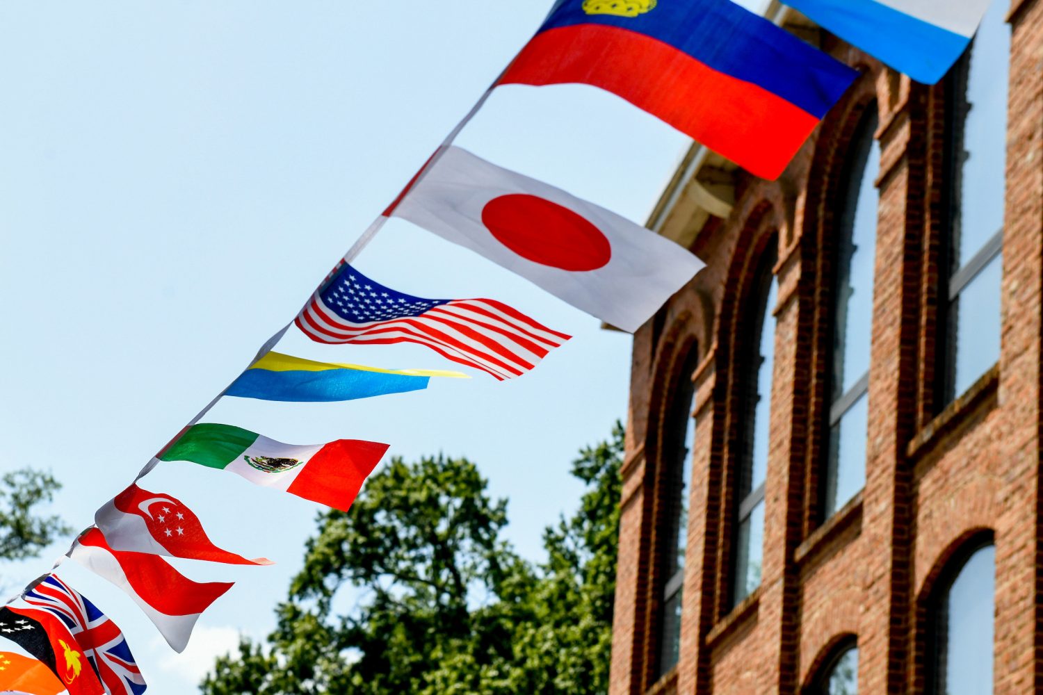 International flags fly in the Global Courtyard on main campus.