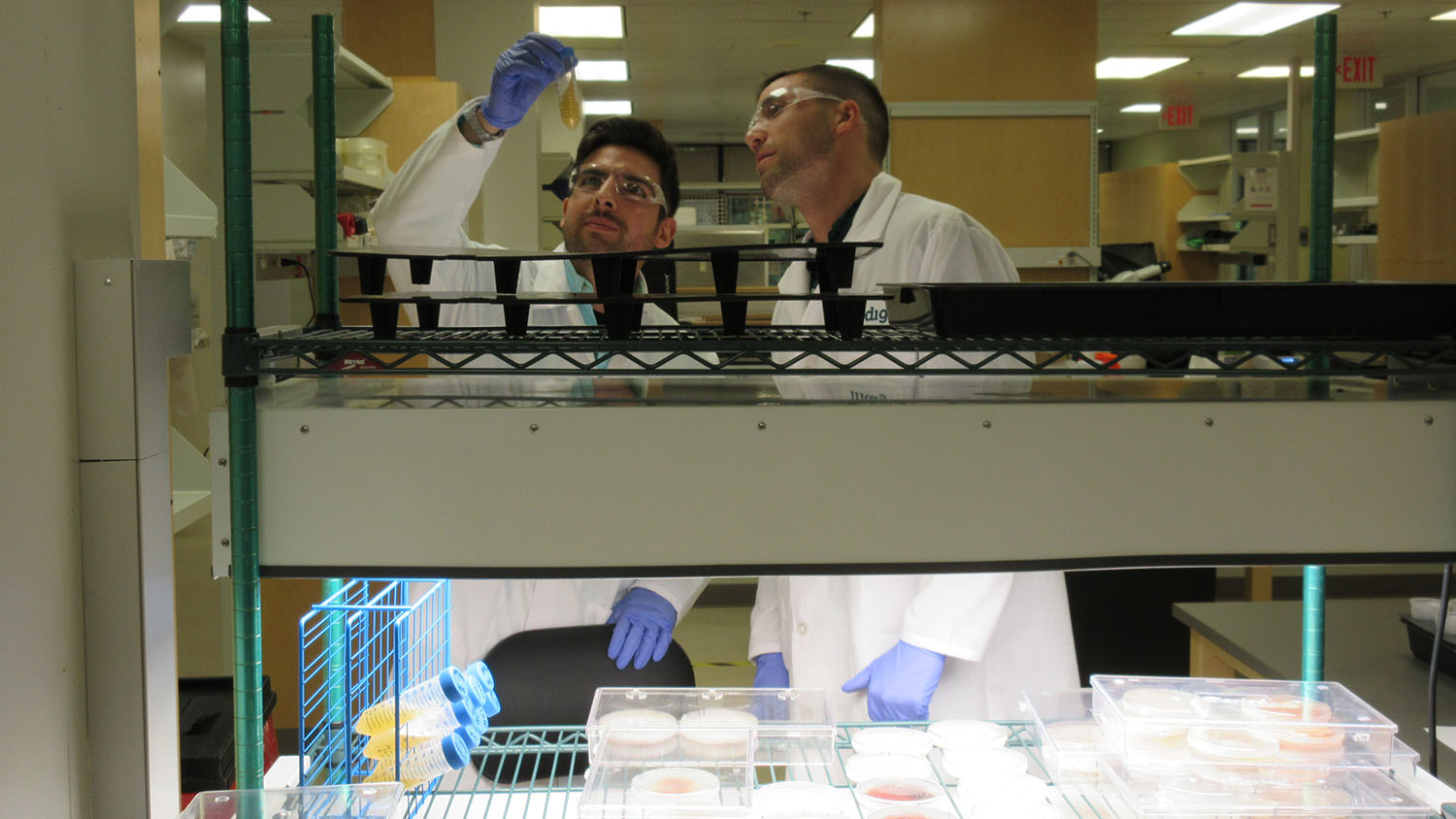 MMB student working in a lab during his internship