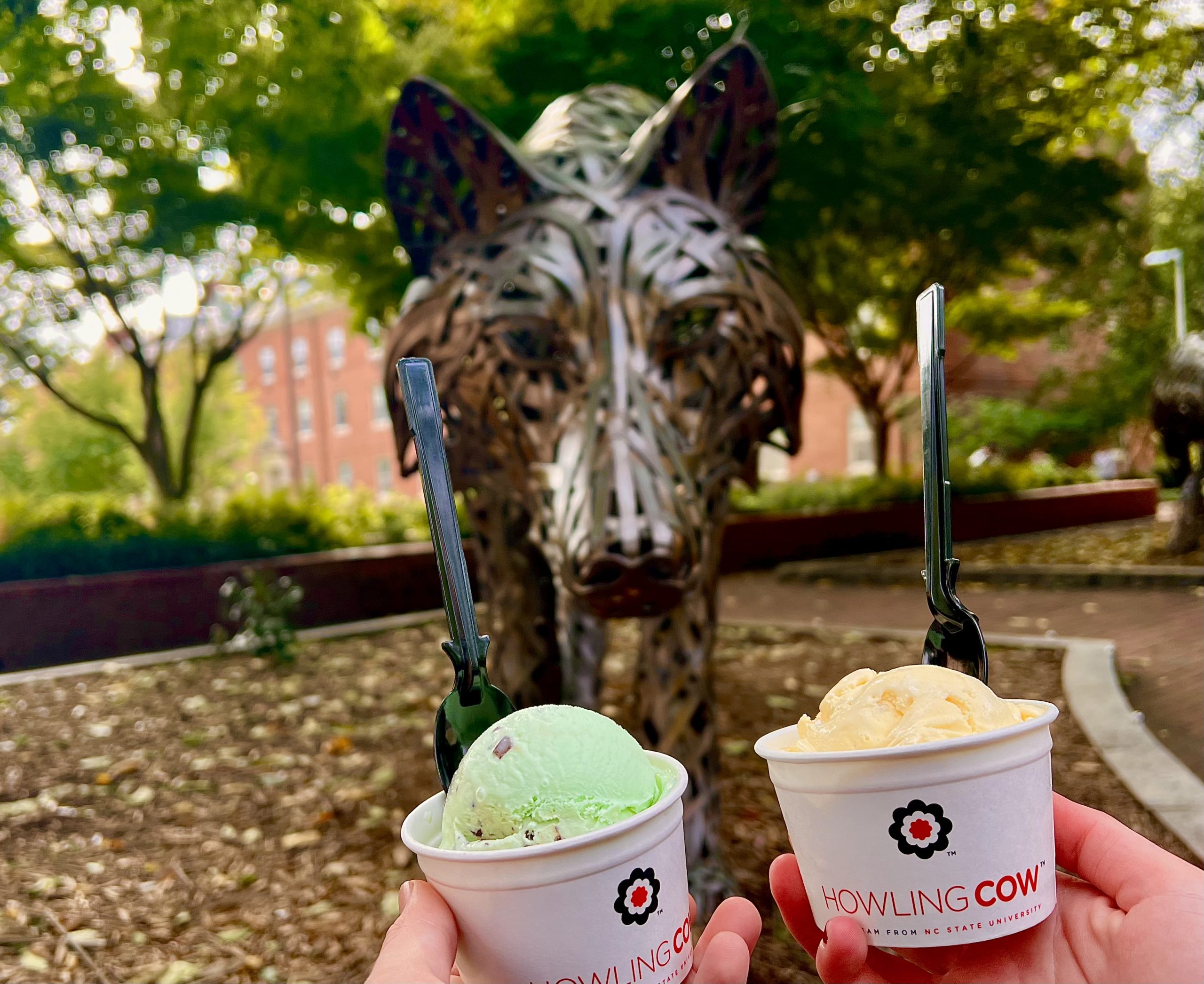 Howling cow ice cream in front of Talley wolves