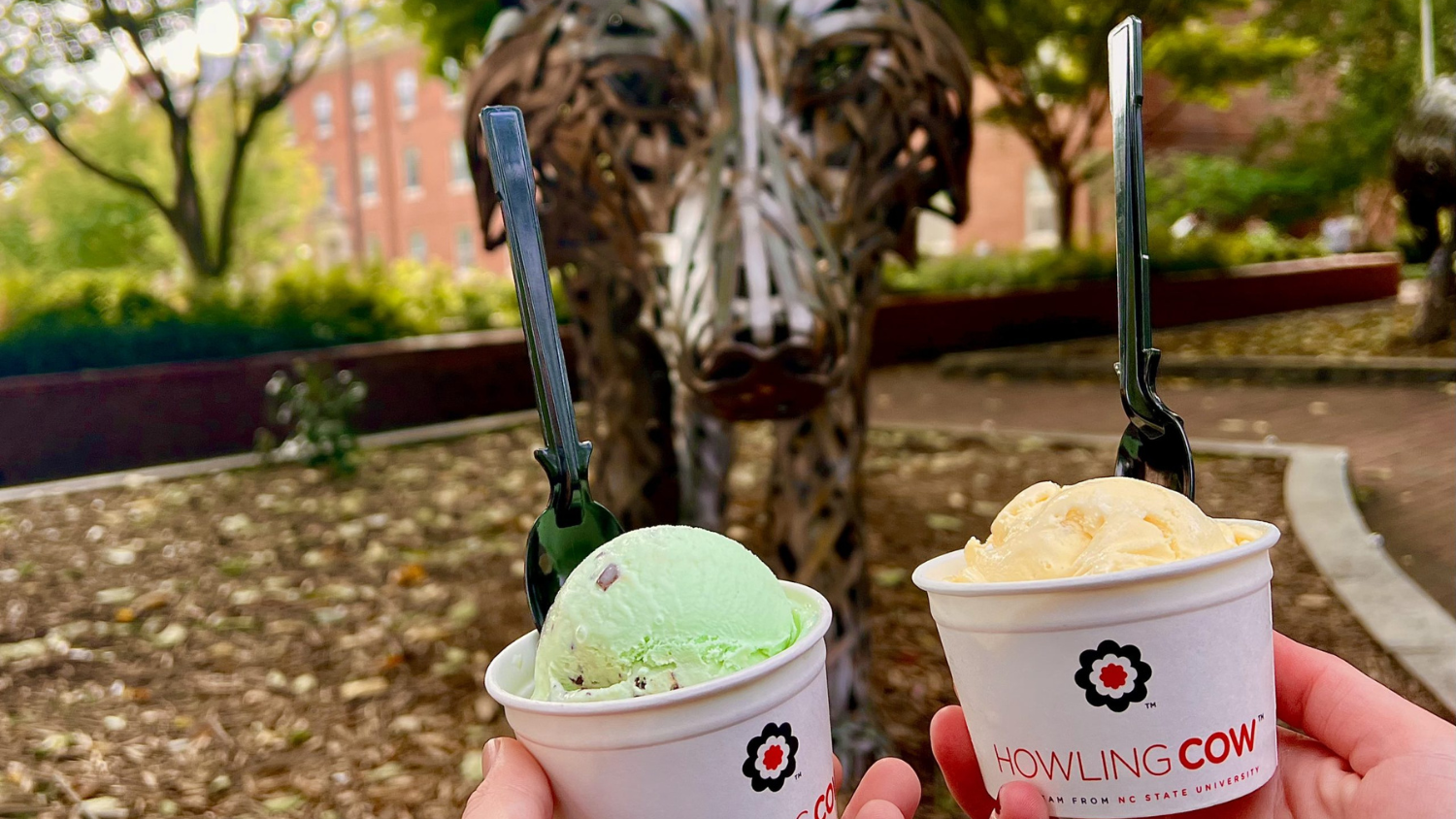 Howling cow ice cream in front of Talley wolves