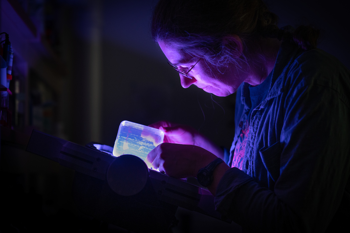 Aurora Toennisson, a Ph.D student studying plant and microbial biology, is working on a plant biology project funded by NASA through the NC Space Grant. Photo by Marc Hall