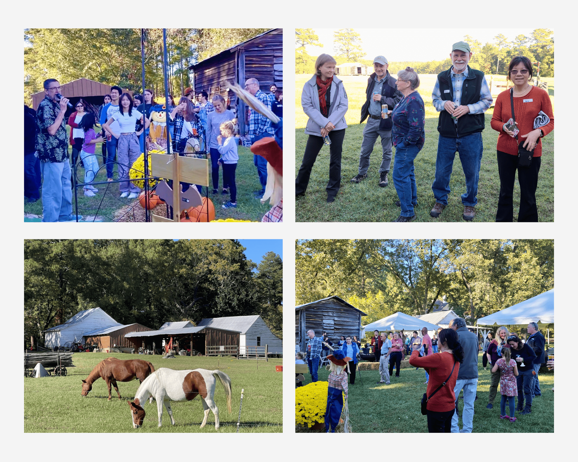 PMB Farm Day collage