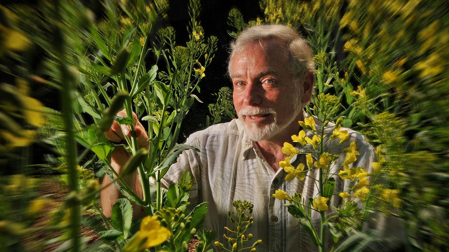 Fred Gould in his garden.