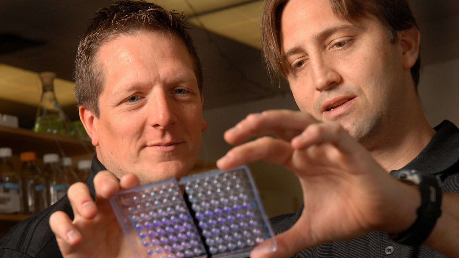 John Cavanagh and Christian Melander (right) look over Melander's latest discovery in a Polk Hall lab.