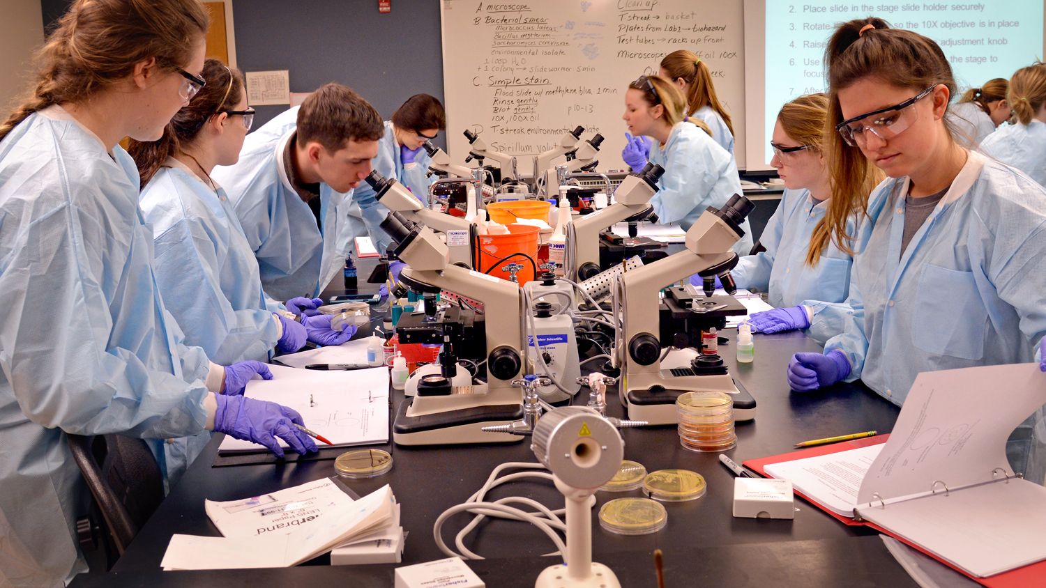 Students in a laboratory.