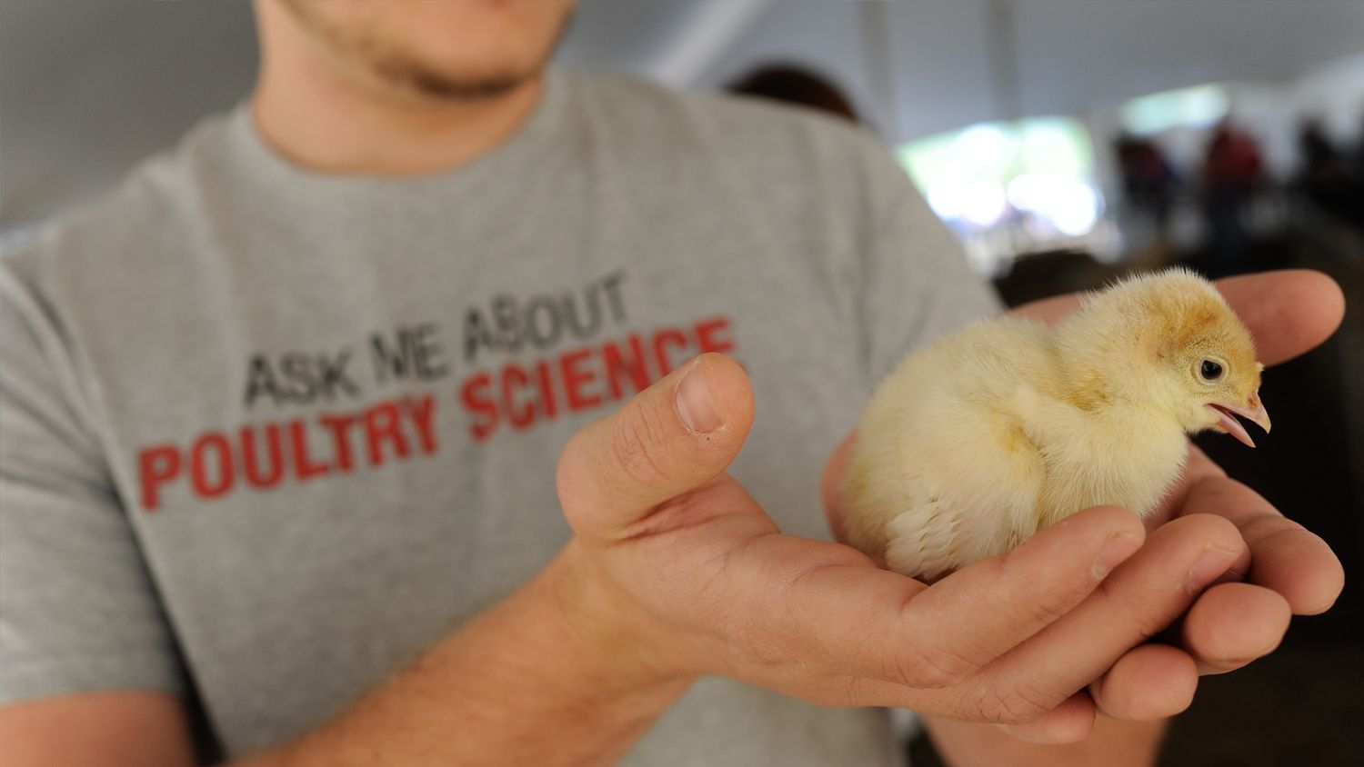 Prestage Dept of Poultry Science graduates have a 95% job placement rate.