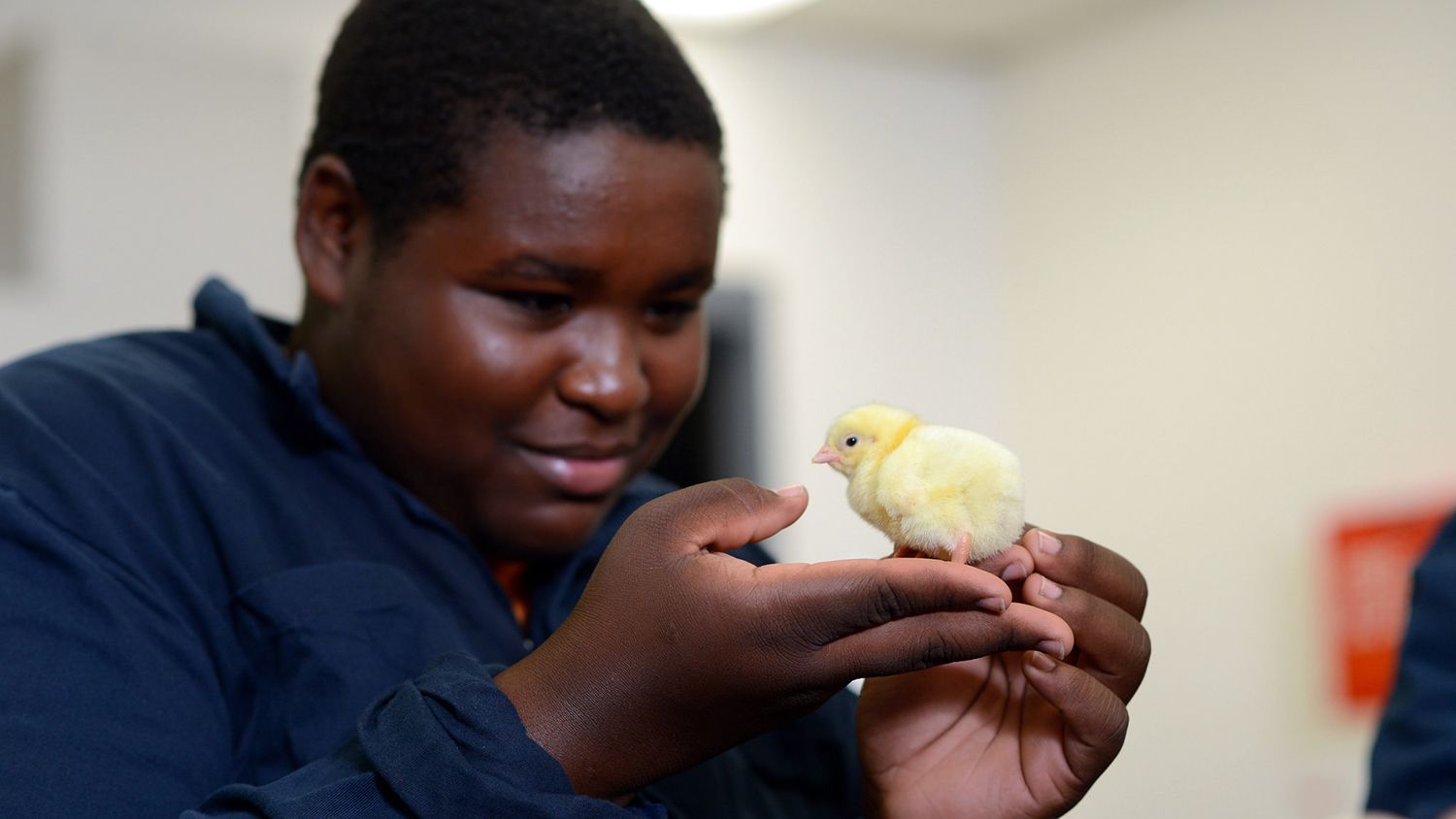 At NC State's CALS, student with chick at Poultry Science Summer Institute