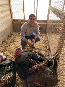 Joel Quintero in a pen with heritage turkeys