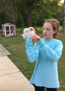 a girl holds a laying hen
