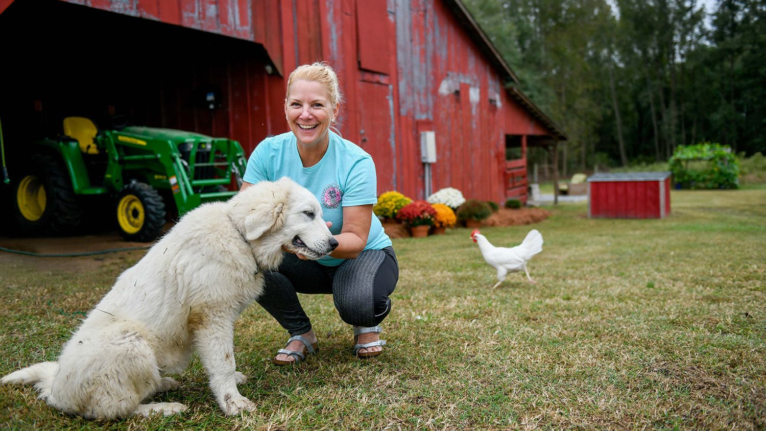 Woman smiling with her hand out to dog. In the background, a big red barn, tractor and chicken.