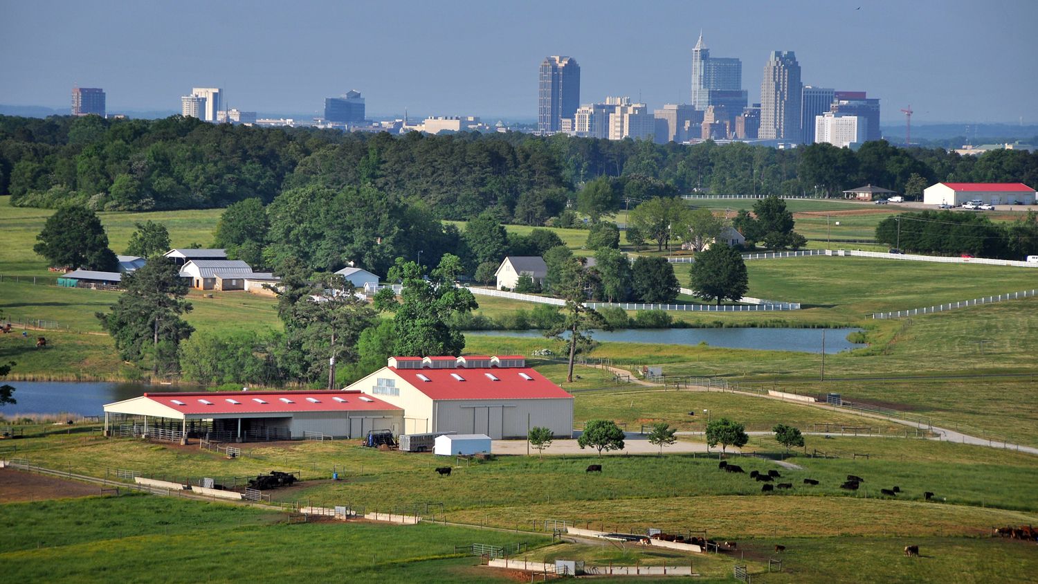 Lake Wheeler farms with Raleigh skyline in the distance