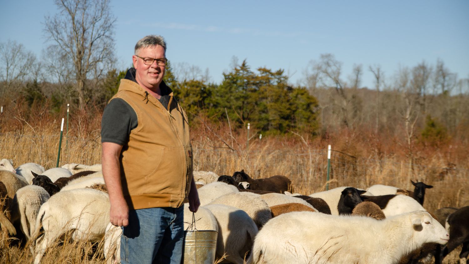 Dan Campeau standing outside surrounded by sheep