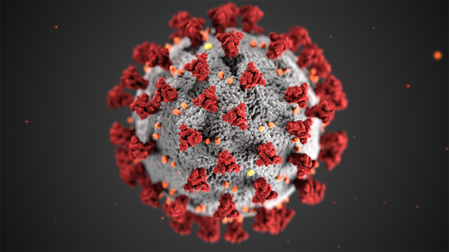 CDC model of COVID-19