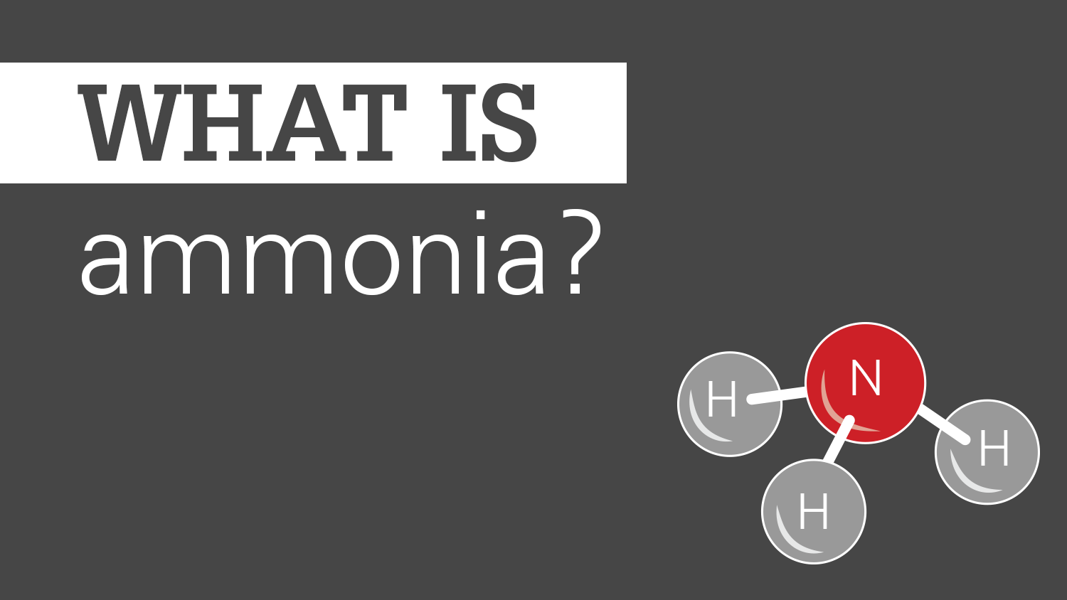 All About Ammonia: New Research Could Improve Human Health and Animal Ag