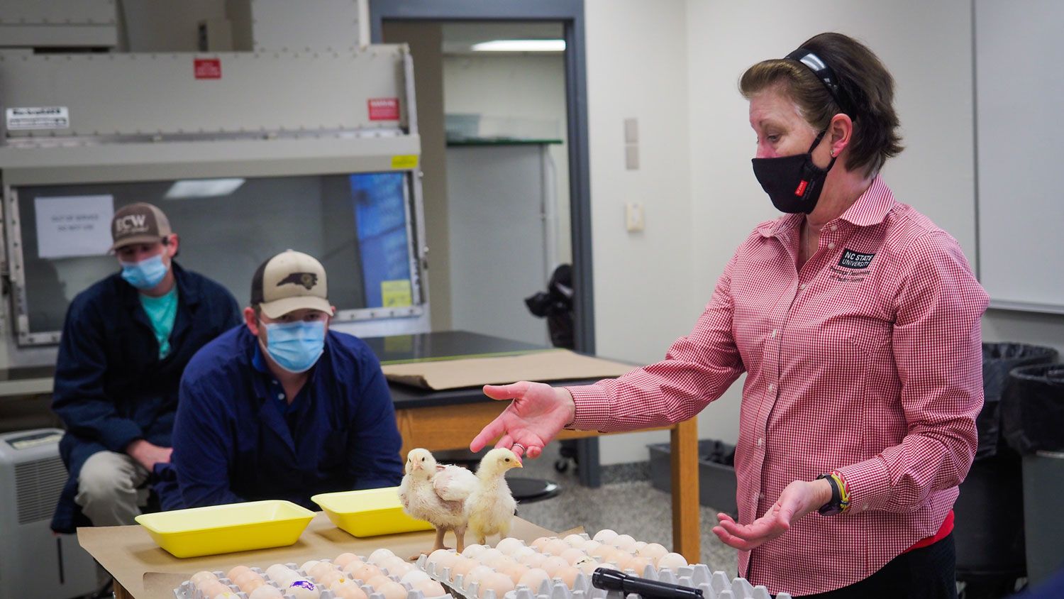 Lynn Worley-Davis teaching students in one of her embryology labs