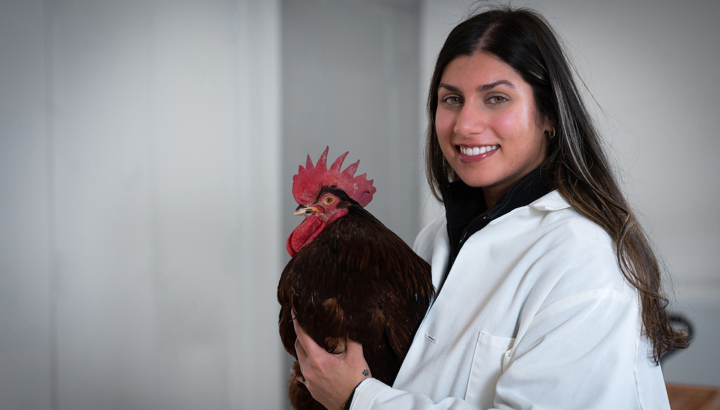 graduate student Bhavisha Gulabrai holding a chicken
