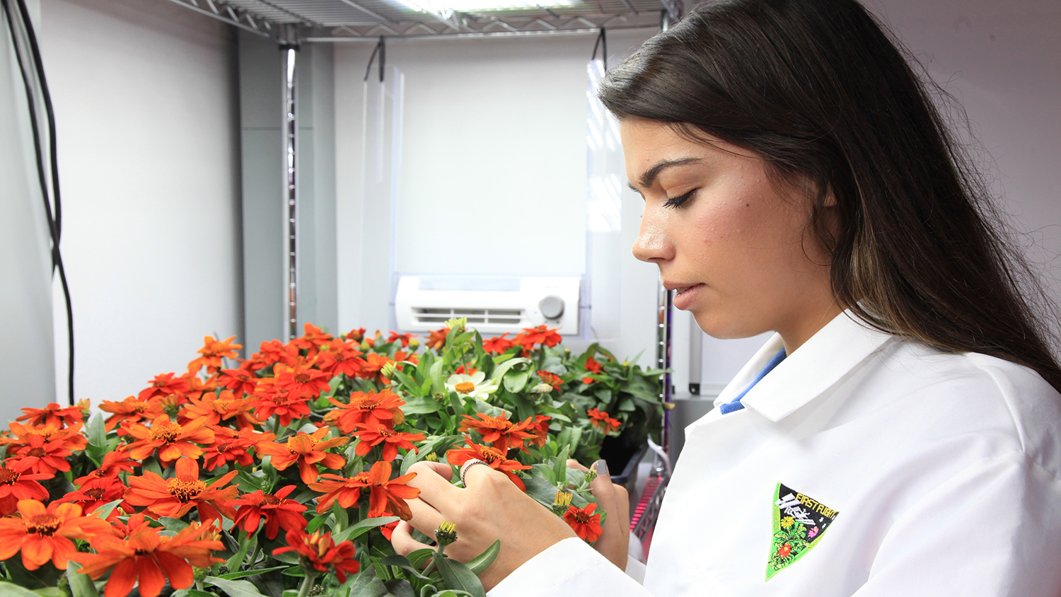 Woman in lab coat with zinnias.