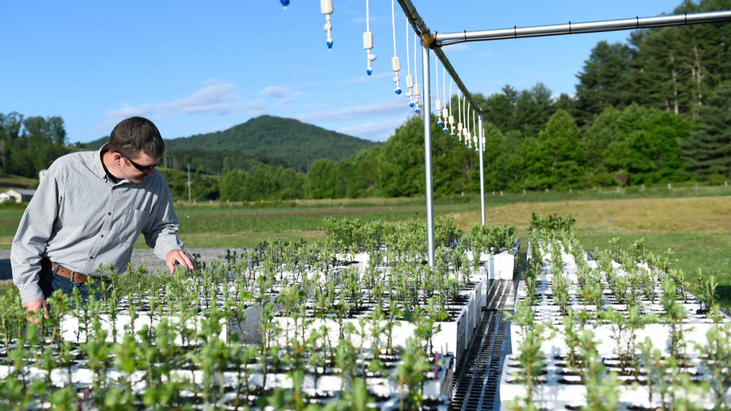 photo of student conducting research on off-campus research station on farmland