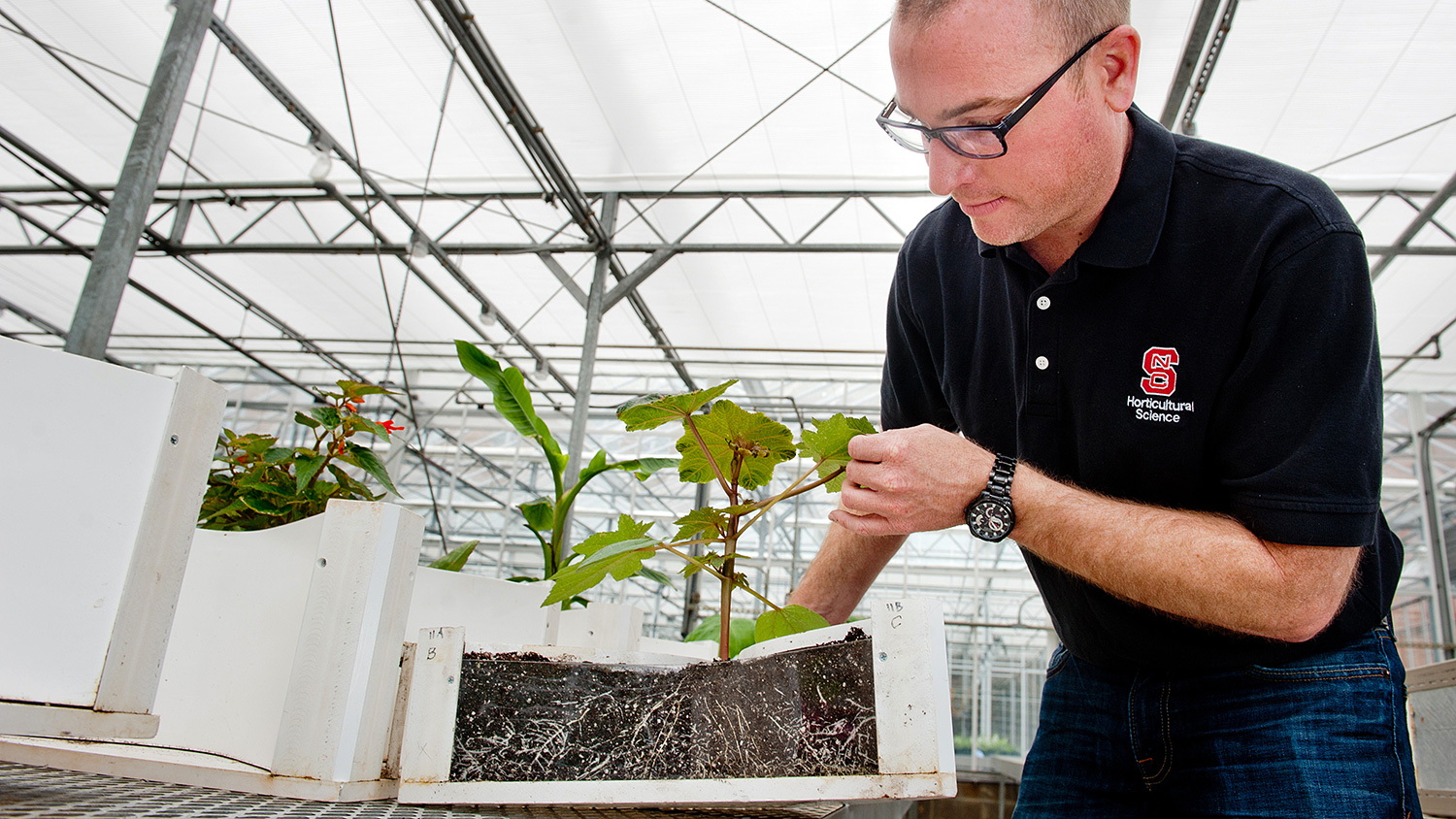 Researcher tests growing substrate