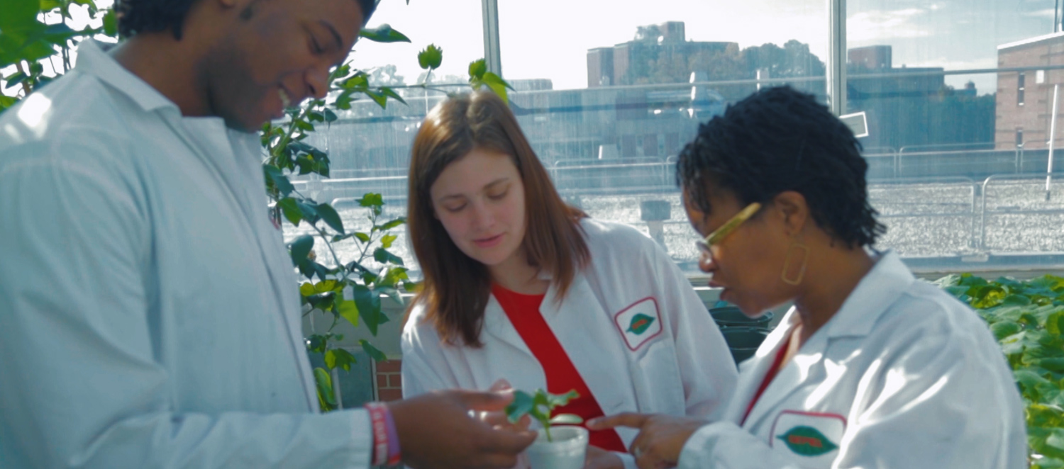 Three researchers in white lab coats looking at plant in a greenhouse